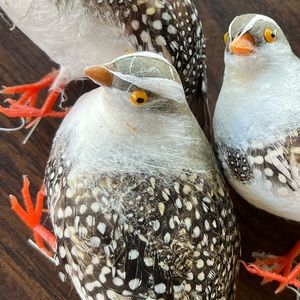 Vintage Craft Birds, Vintage Christmas Birds, Quail Set of 4